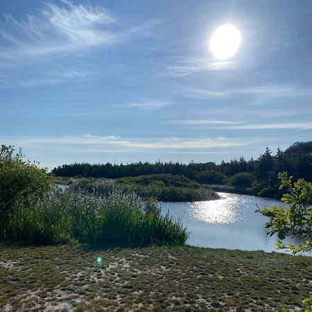 Zijperweg Vakantiehuis Vlakbij Zee, Strand En Bos Petten Extérieur photo