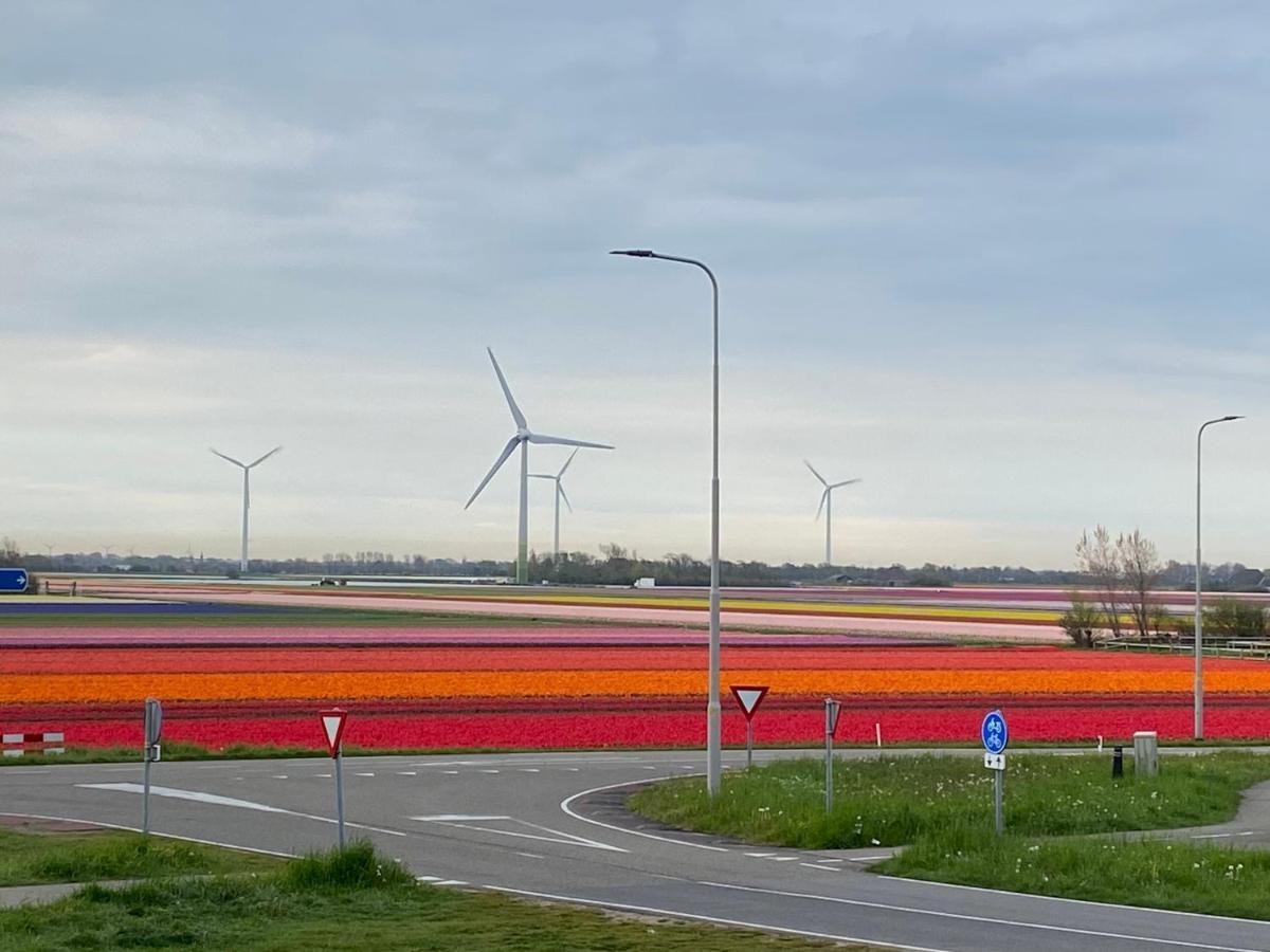 Zijperweg Vakantiehuis Vlakbij Zee, Strand En Bos Petten Extérieur photo